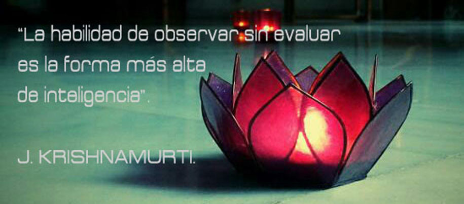 Bienvenido a DHARMA DHYANA Centro de Yoga Integral